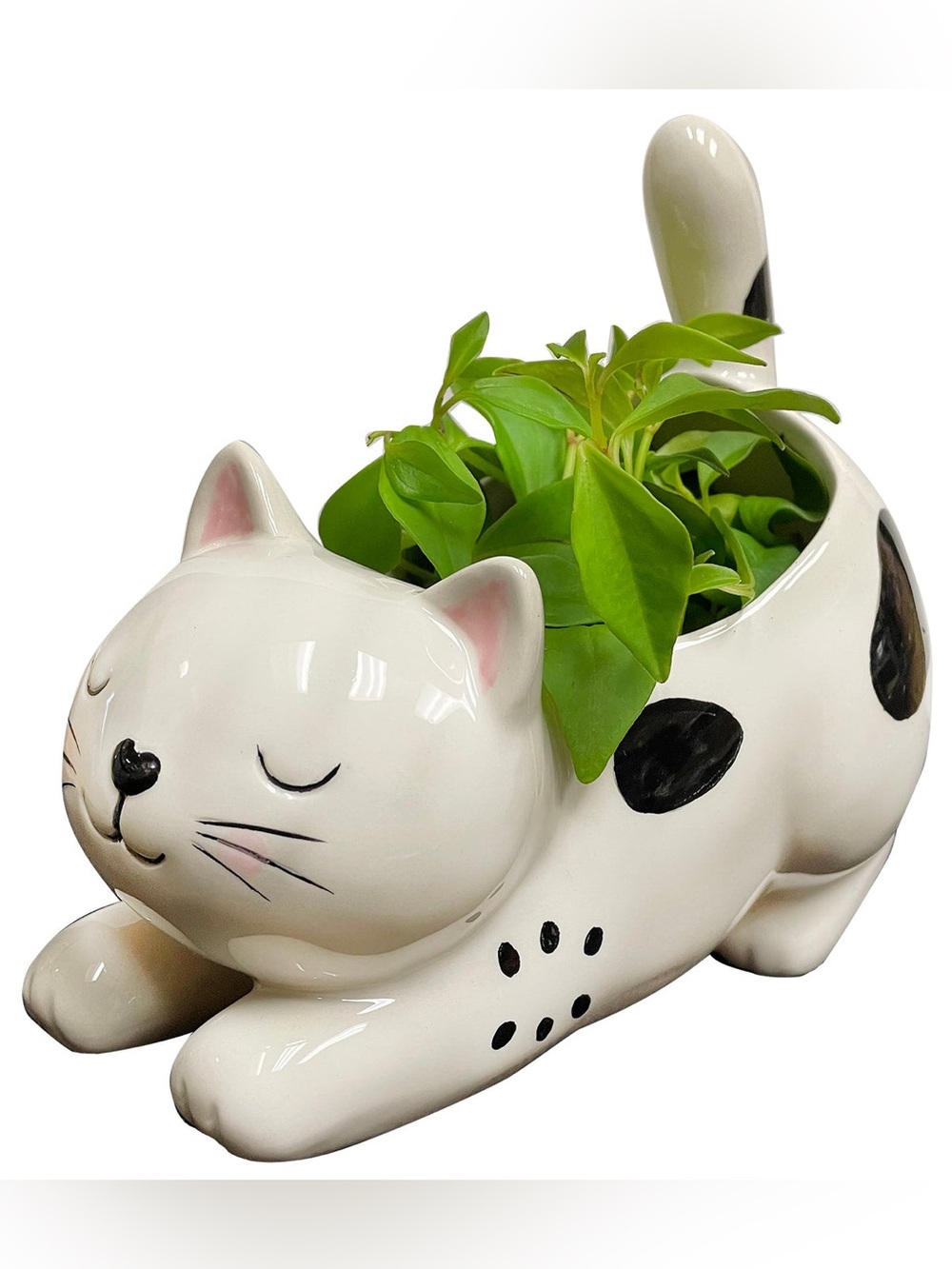 Streamline Imagined Raise Your Bum Kitty Planter Ceramic Whimsy